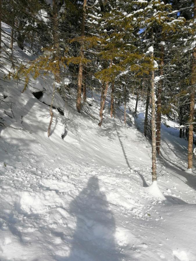 Hotel Garni Alpendiamant Fiss Εξωτερικό φωτογραφία